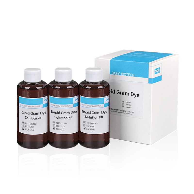 Rapid Gram Dye Solution 키트